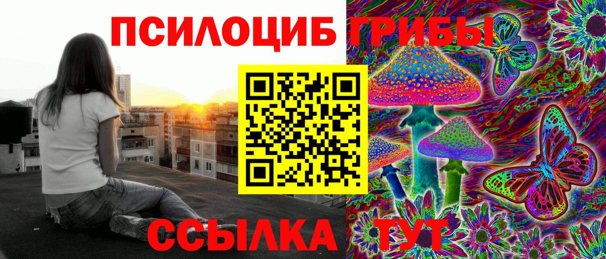 Галлюциногенные грибы MAGIC MUSHROOMS  Вход с VPN  Кемерово 